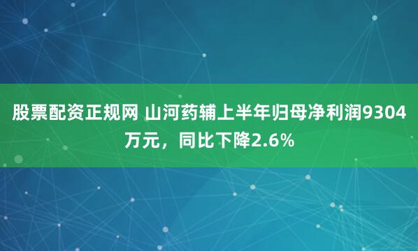 股票配资正规网 山河药辅上半年归母净利润9304万元，同比下降2.6%